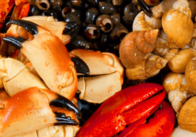 seafood to increase the potency in men